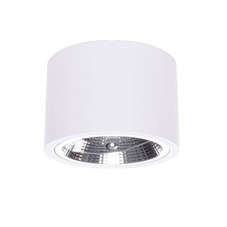 Oprawa natynkowa Camino - elegancka iluminacja do wnętrz (LP-1101/1SM WH) - Light Prestige