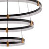 Lampa wisząca Plum 3 LED CCT czarna, elegancki akcent do każdego wnętrza (LP-0407/3P BK) - Light Prestige