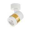 Lampa sufitowa Anillo 1 (LP-770/1W WH) - Light Prestige