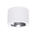 Oprawa natynkowa Camino - elegancka iluminacja do wnętrz (LP-1101/1SM WH) - Light Prestige