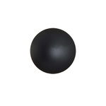 Plafon LED Platillo 21 cm czarny CCT (LP-8102/1C-12W BK CCT) - Light Prestige